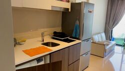 Riversound Residence (D19), Condominium #619575911